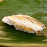 鮨処 石ばし - コハダ