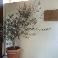 Ristorante YAMAZAKI - エントランス