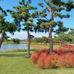ステーキハウス ミディアムレア - 海の中道海浜公園