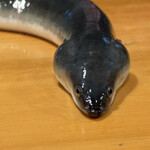 うなぎ屋酒坊・画荘 越後屋 - 