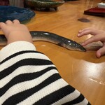 うなぎ屋酒坊・画荘 越後屋 - 