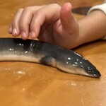 うなぎ屋酒坊・画荘 越後屋 - 