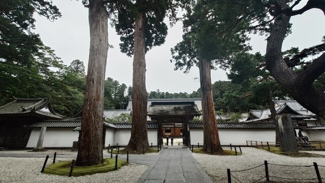牡蠣せんべい本家 - 松島海岸（せんべい）の写真