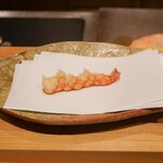 ぬま田 - 車海老熊本県天草産(天然)