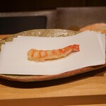 ぬま田 - 車海老熊本県天草産(天然)の半生