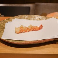 ぬま田 - 車海老熊本県天草産(天然)