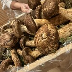 喰切料理 八方 - 