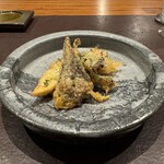 il AOYAMA - 