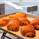 SEIVI ARTISANAL MATCHA and ROASTED - 