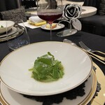 クイントカント - 