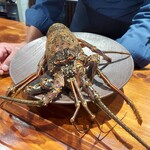 馳走西健一 - 伊勢海老