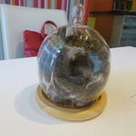 ラ メゾン クルティーヌ - 身ぐるみ剥がされた。