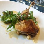 ロアラブッシュ - 