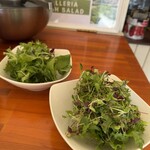 PIZZA ガレリア - 