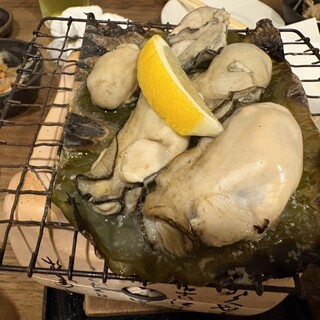 ヤットルゾー五條_0