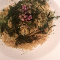 cenci - 