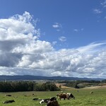 美瑛放牧酪農場 - 