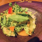 Hirovanna - 47種類の野菜と果物サラダ。