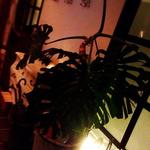 モダン和食 サル ドゥ マキノ - 