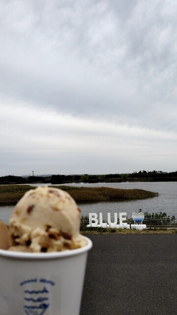 MINAMO GELATO（ミナモ ジェラート） - 美田園（ジェラート・アイスクリーム）の写真