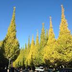 Royal Garden Cafe 青山 - 