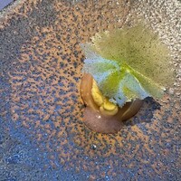 プレヴナンス - 
