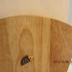 カフェ ロロパパ - 