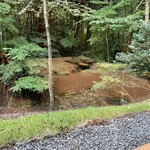 フォレスト イン ボン - 