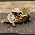 レヴォ - キノコ