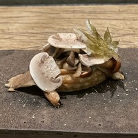 レヴォ - キノコ