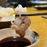 炉ノ鳥 - プリプリで美味しい。贅沢すぎる。