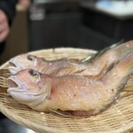 炉ノ鳥 - メインは炉端で甘鯛を