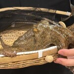 炉ノ鳥 - 蛸さんとっても美味しかったよ