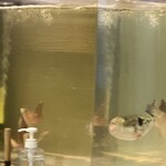 炉ノ鳥 - 生簀では元気に魚が泳いでいました。