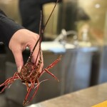 炉ノ鳥 - 元気いっぱいな伊勢海老くん