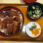うなぎ料理 はし家 - 特上うなぎ丼