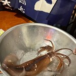 はこだて ふさや - 活イカ