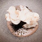 レミニセンス - 鮑