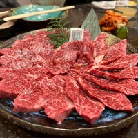 PONGA PREMIUM - 