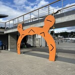 やまひろ海鮮小屋 - 