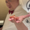 TERUZUSHI TOKYO BY WAGYUMAFIA