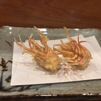 天冨良 よこ田 - 