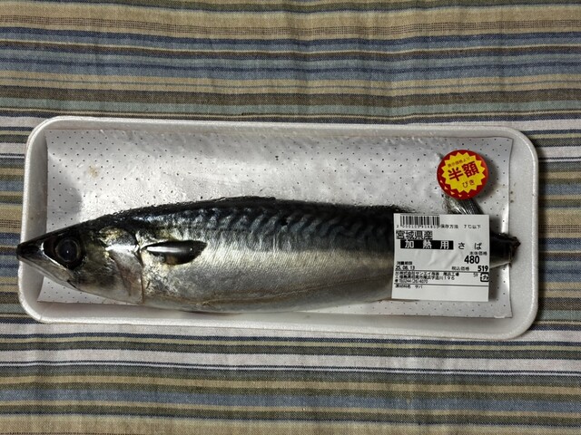 浜の駅 松川浦 - 相馬市その他（その他）の写真