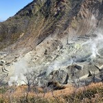 大涌谷 駅食堂 - 