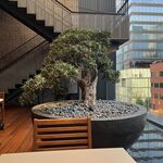 TORAYA GINZA - 