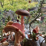 リリエンベルグ - 