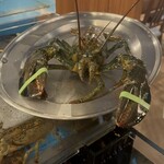 レッドロブスター - 