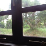 凱旋 - 2025年8月11日　庭