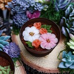 コンサクレ 神戸北野店 - 