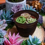 コンサクレ 神戸北野店 - 